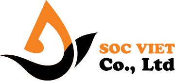 SOCVIET CO LTD